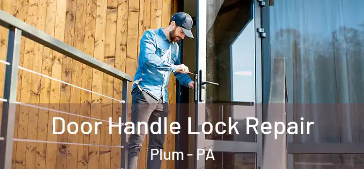  Door Handle Lock Repair Plum - PA