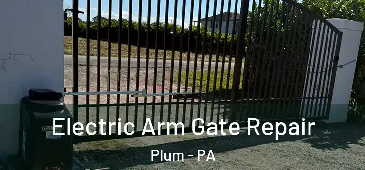  Electric Arm Gate Repair Plum - PA