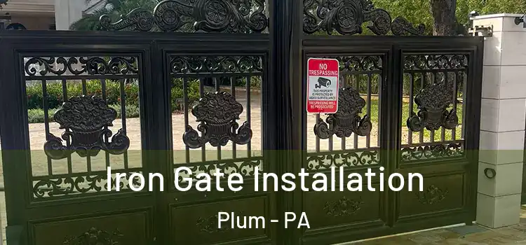 Iron Gate Installation Plum - PA