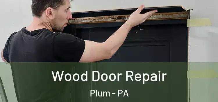  Wood Door Repair Plum - PA